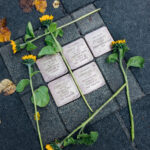 Fünf Stolpersteine, umrahmt von Sonnenblumen.