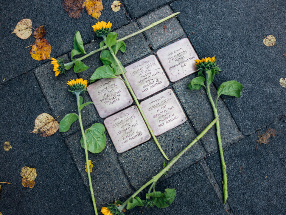 Fünf Stolpersteine, umrahmt von Sonnenblumen.